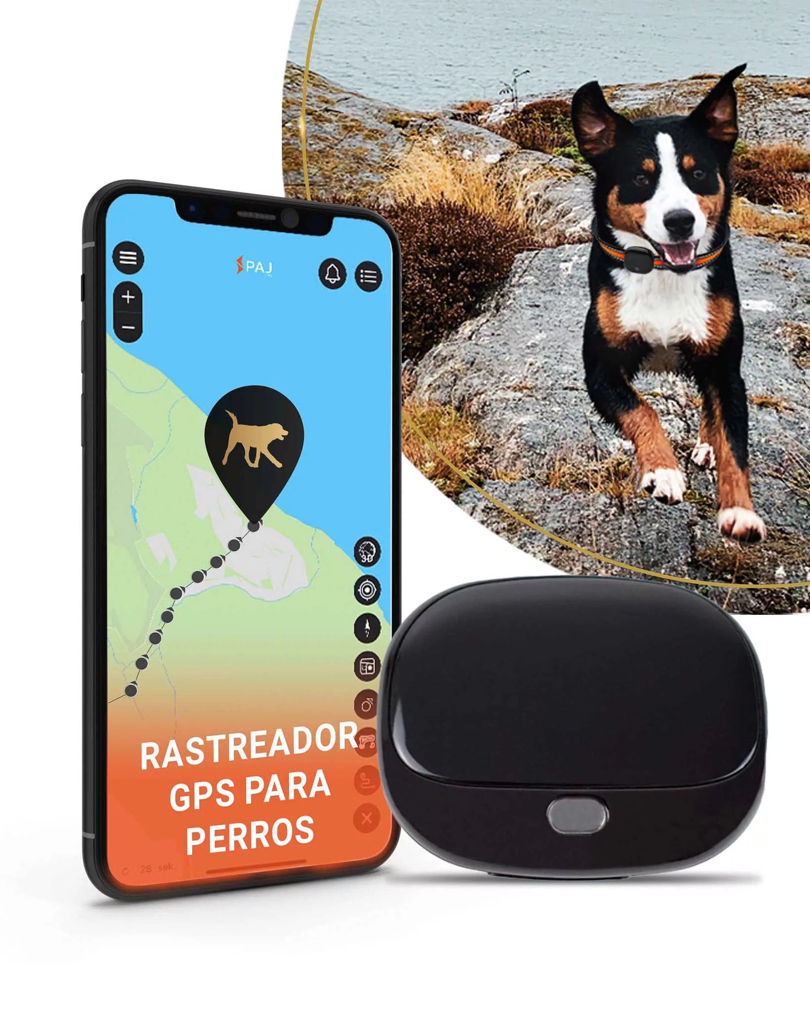 Comprar GPS para Perros 